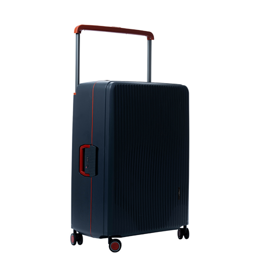Beta 2.0 Cabin 20"