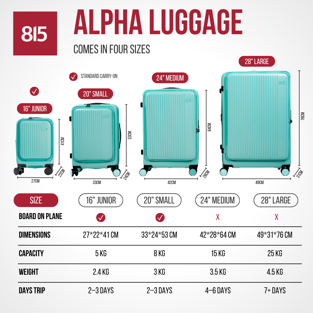 Luggage with Minor Defect